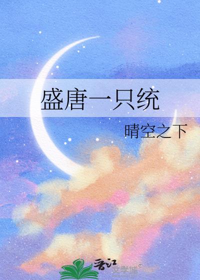 盛唐一只统